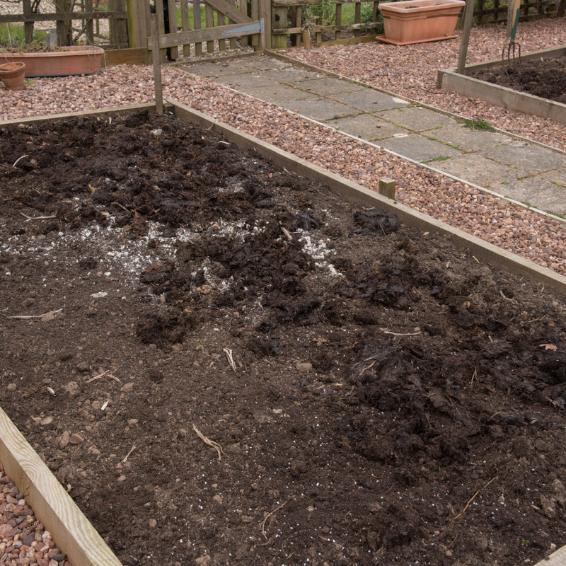 An empty prepared garden bed waiting to be planted