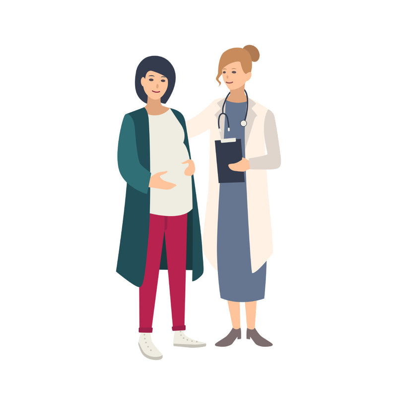 Illustration of pregnant woman standing alongside a doctor or midwife