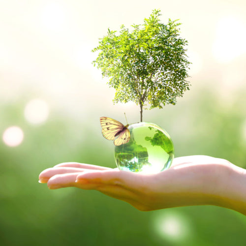 Sustainable Hygiene & Cleaning Products, Part Two