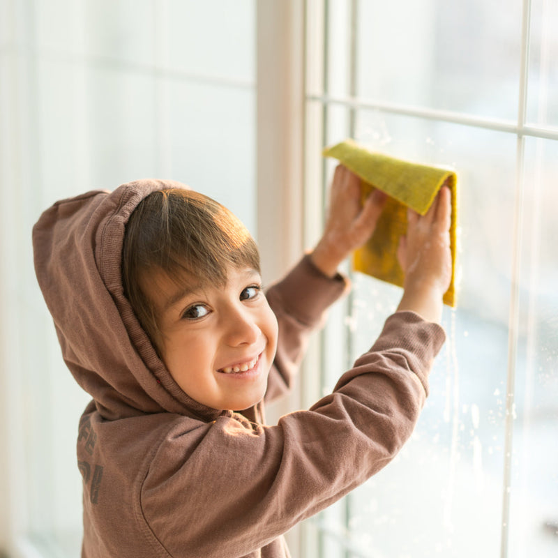 Must-Have Household Cleaning Products