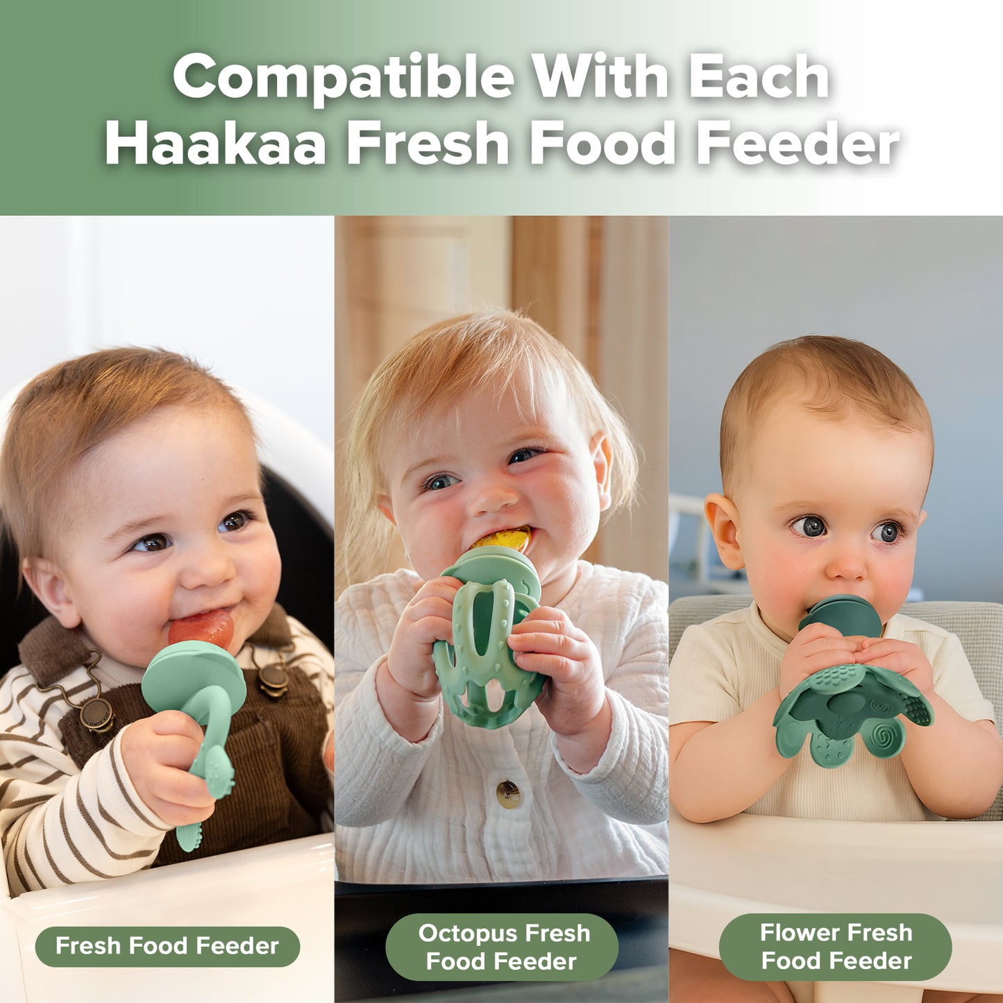 Fresh Food Feeder One-piece Replacement Pouch - L